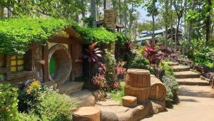 agrowisata wonosalam